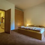 Weissov Dom Apartment *